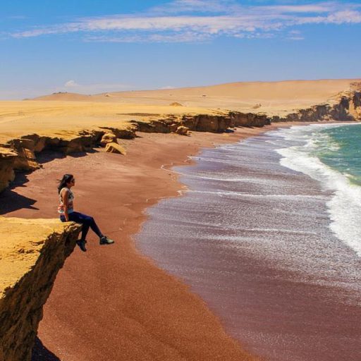 WhatsApp Image 2018-11-16 at 18.02.58 (1)