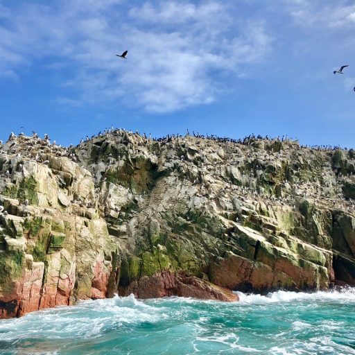 WhatsApp Image 2018-11-16 at 18.02.59